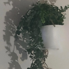 nobody stays in contact HeLpZ