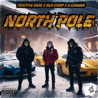 NORTH POLE (feat. SLR Coop & V.Ciannii) - Single - Trappin Quik