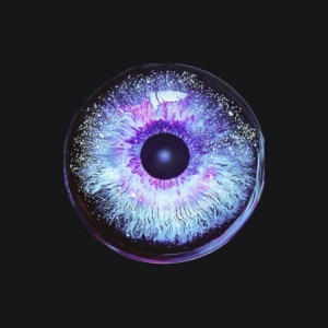 Hide Me - Single