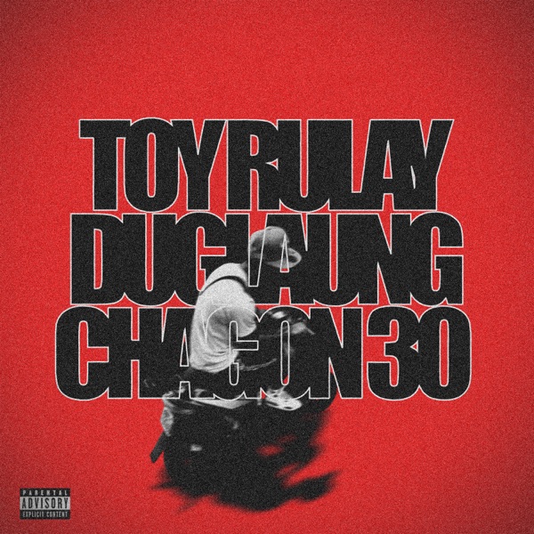 Toy rulay