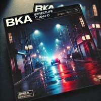 Streetlife (feat. Anu-D) - Single - BKA