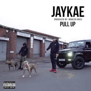 Pull Up (feat. Bowser) - Single