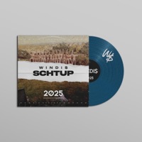 Schtup i Bussen (feat. Bergmann) - Single - Windi$