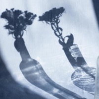 .tonight - Single - The Midnight Boys & JARPI3