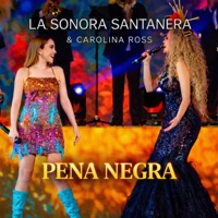 Pena Negra - Single - La Sonora Santanera & Carolina Ross