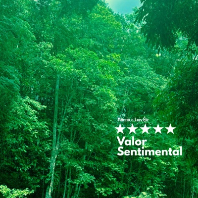 Valor Sentimental (feat. Luis Éle) - Single