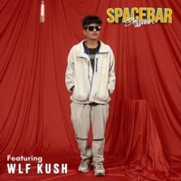 Sapananai Ho Ki (feat. Wlf Kush) - Single - Skathi Entertainment