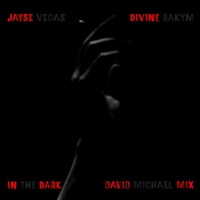 In The Dark (David Michael Mix) [feat. Divine Rakym] - Single - Jayse Vegas