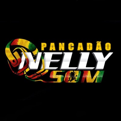 dj marcinho pancadao nelly som - MELO DE ANA PAULA 2013 RMX