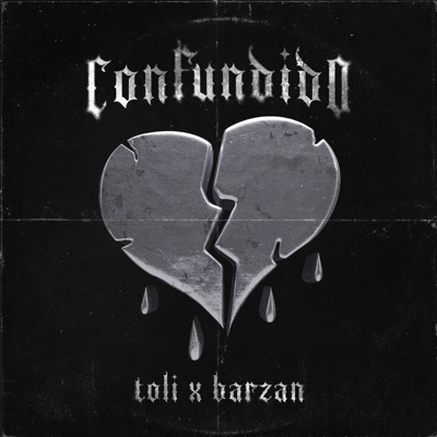 CONFUNDIDO (feat. Barzan) - Single
