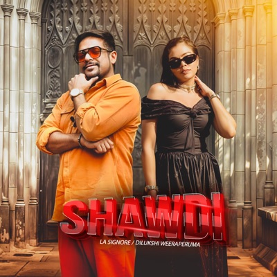 Shawdi - Single