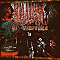 WHO ARE YOU (feat. winterz) - Single - DuK