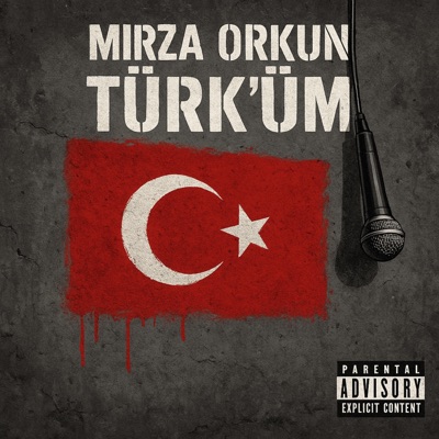 Türk'üm (feat. Hata) - Single