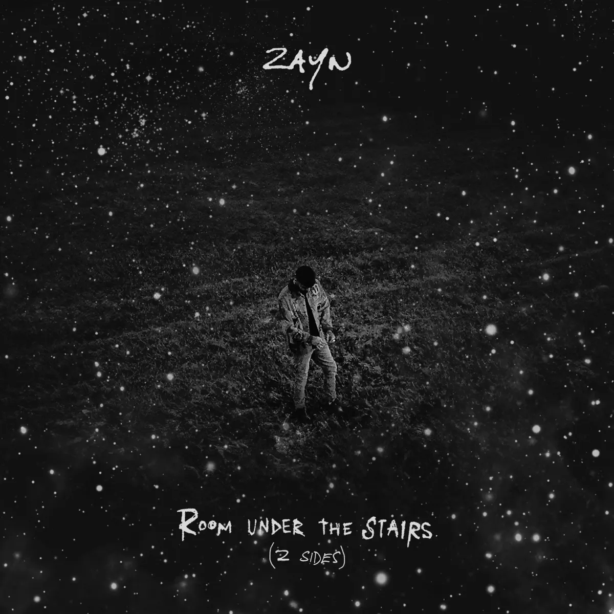 ZAYN - ROOM UNDER THE STAIRS (Z SIDES) (2024) [iTunes Plus AAC M4A]-新房子