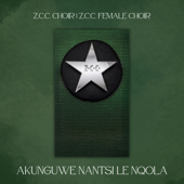 Akunguwe Nantsi Le Nqola