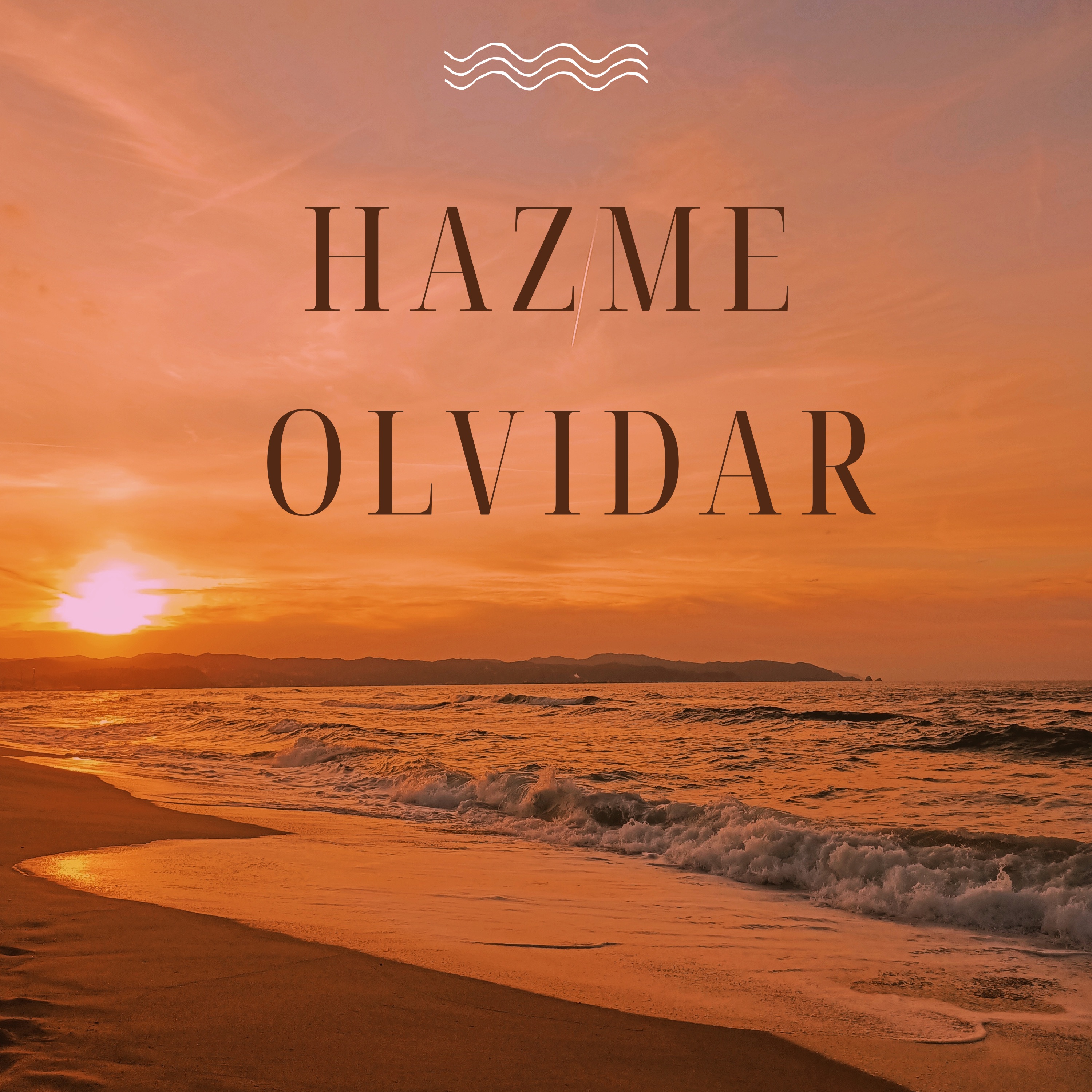 Hazme Olvidar (Remix) - Single