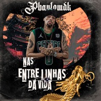 Nas Entre Linhas da Vida (feat. PhantomDK) - Single - dj tg beat