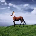 I Am The Deer