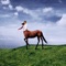 Ovid - Annie DiRusso lyrics