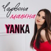 Червона малина - Single