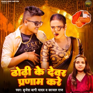 Dhodhi Ke Devar Parnam Kare
