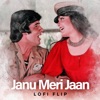 Janu Meri Jaan (Lofi Flip) - Single