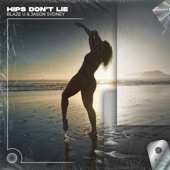 Hips Don't Lie (Techno Remix) artwork