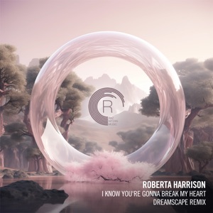 I Know You're Gonna Break My Heart (Dreamscape Remix) - Single