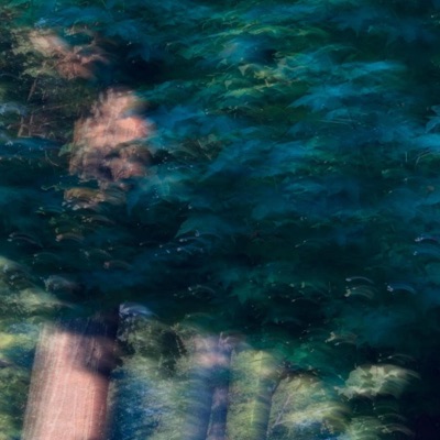 Who are you again? - Single