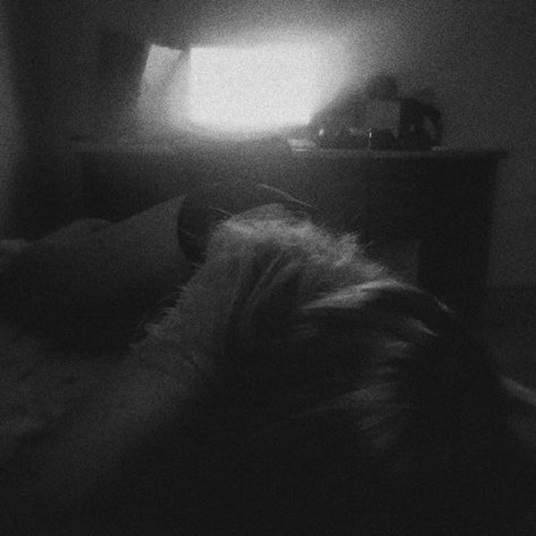 alone in this void - Single
