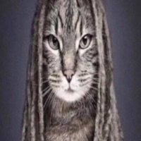 5up (feat. anarchy) - Single - lost8