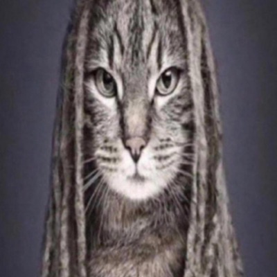 5up (feat. anarchy) - Single