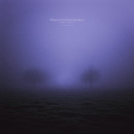 what's even real anymore (slowed + reverb) Ethergløw & pureheartx.