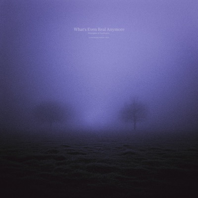 what's even real anymore (slowed + reverb) - Single