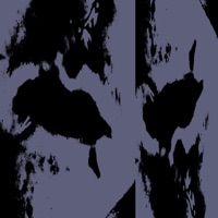 SALVIA - Single - h8you