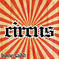 circus - Single - Bone Zadd