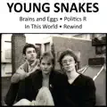 Brains And Eggs