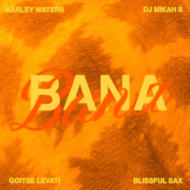 BANA (instrumental edit) [feat. Goitse Levati] Marley Waters, DJ Mikah S & Blissful Sax