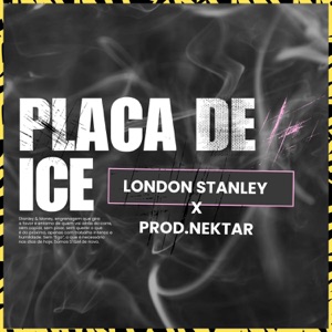 Placa de Ice