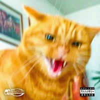 KATTENKWAAD - EP - DUTCHBOi