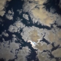 The Matrix - Single - ZAY