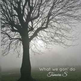 What we gon' do Tamara S