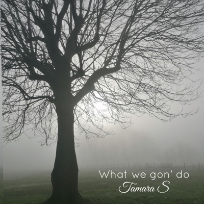 What we gon' do - Single