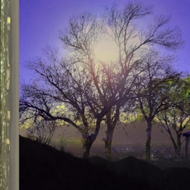 MAGIC MAN Jay Phatty