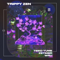 Trippy Zen - Single - Teiko Yume, Zstimer & WRU