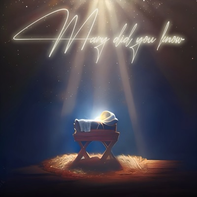 Mary Did You Know? - Single
