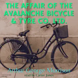 The Affair of the Avalanche Bicycle & Tyre Co. Ltd