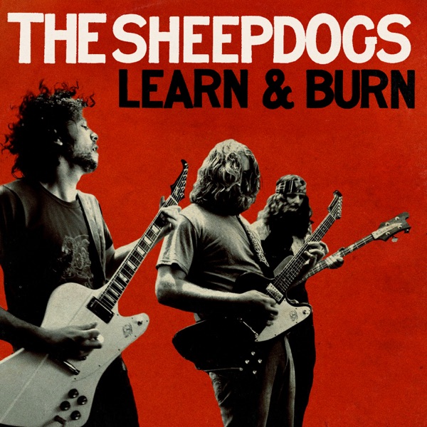 Learn & Burn (Deluxe)