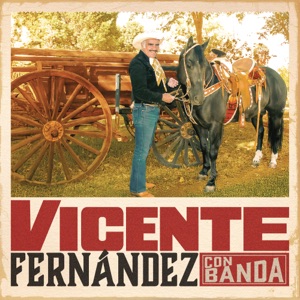 Hace un Año