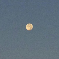 A Diffrent World - Single - notp4trick